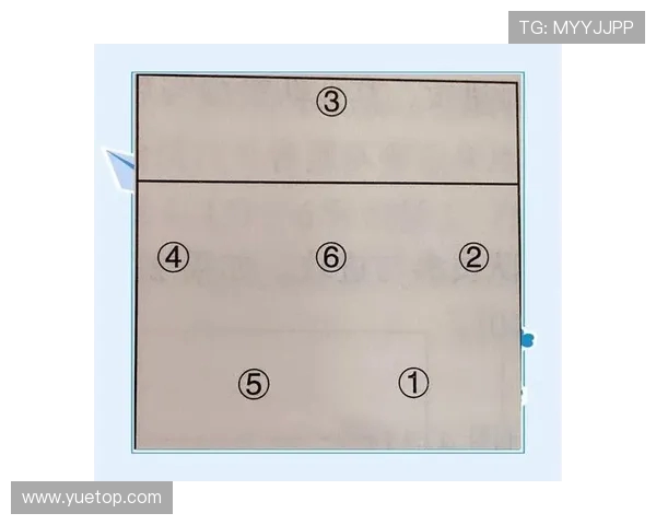 杭州排球队的战术调整与球员表现的深度分析与反思