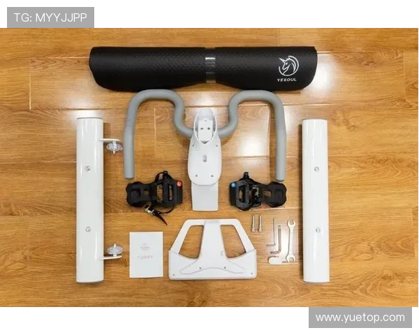 广州极限运动队区域防守战术深度解析与实战应用探讨