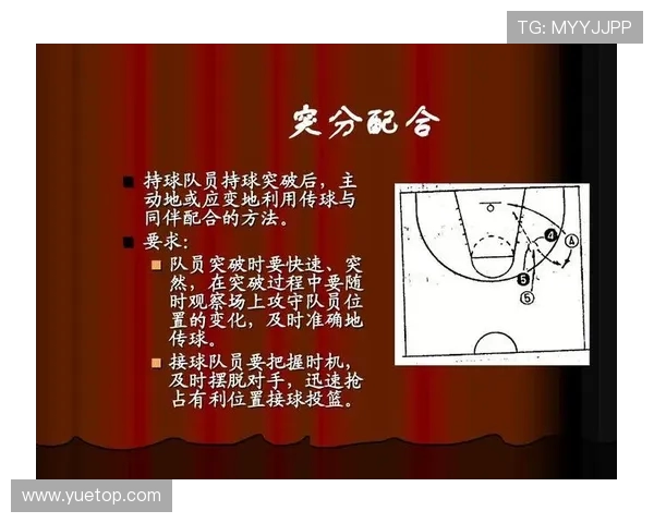 深入分析杭州篮球队的节奏打法与战术特点探讨